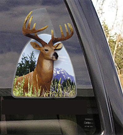 deer-on-truck