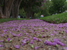 Landscape Photography :: By Steve Hall Creative