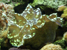 Underwater Photography :: By Steve Hall Creative