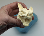 3-D Product Design by Steve Hall