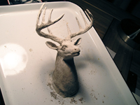 3-D Product Design by Steve Hall