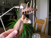 3-D Product Design by Steve Hall