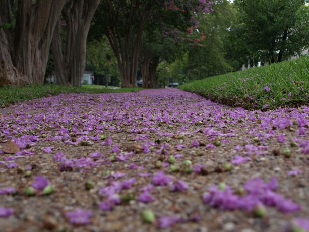 sidewalk